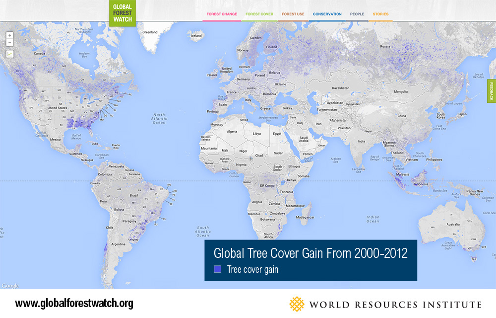 Global Tree Cover Gain