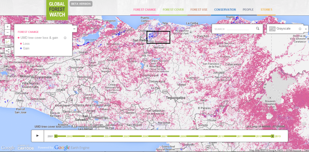 Figure 1 – UMD tree cover loss and gain in Honduras on Global Forest Watch