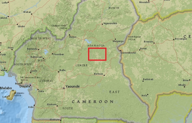 cameroun