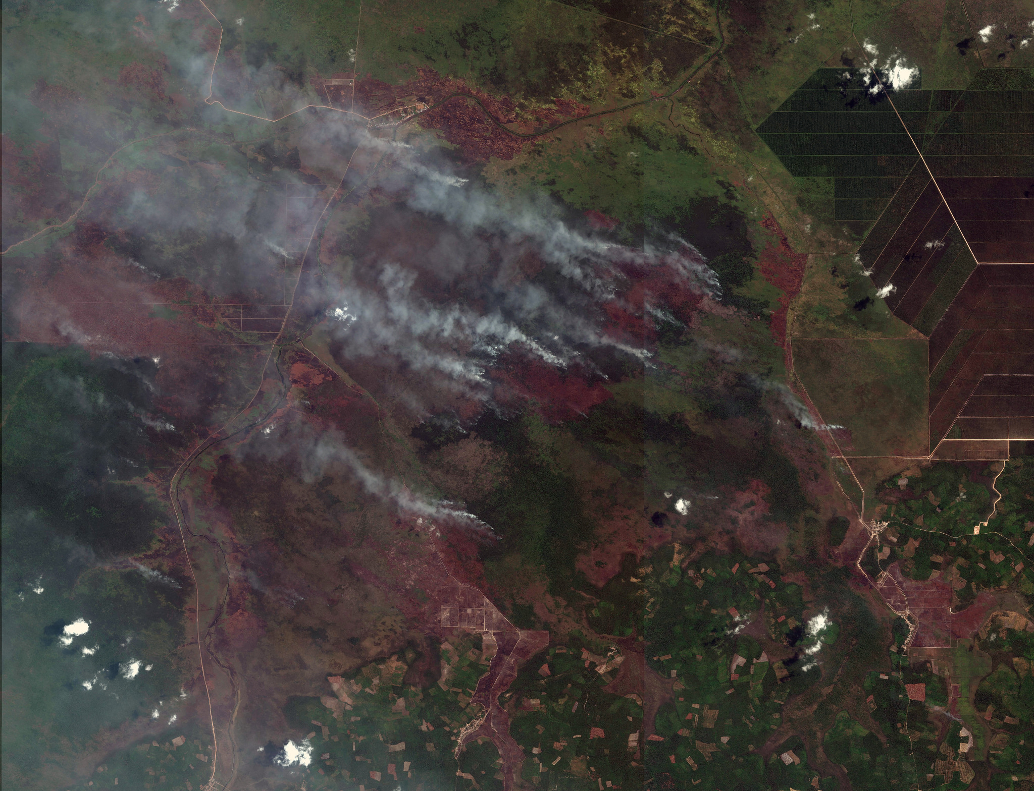 fires_satellite