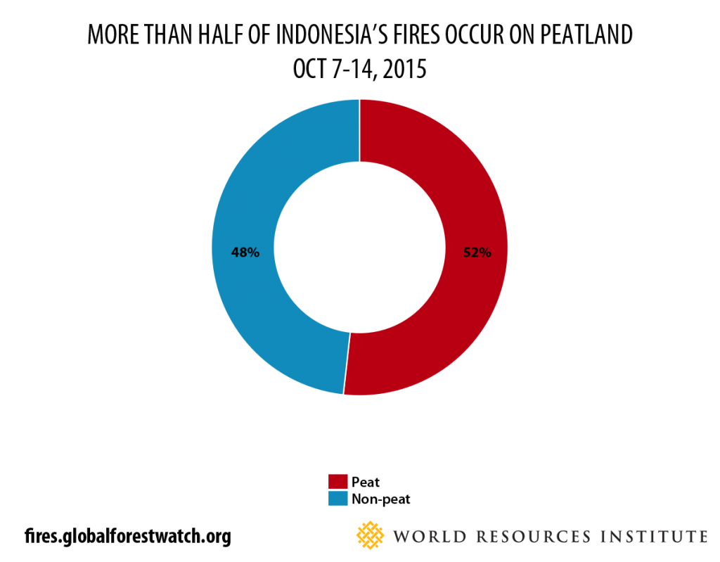 peat fires oct 7-14 2015