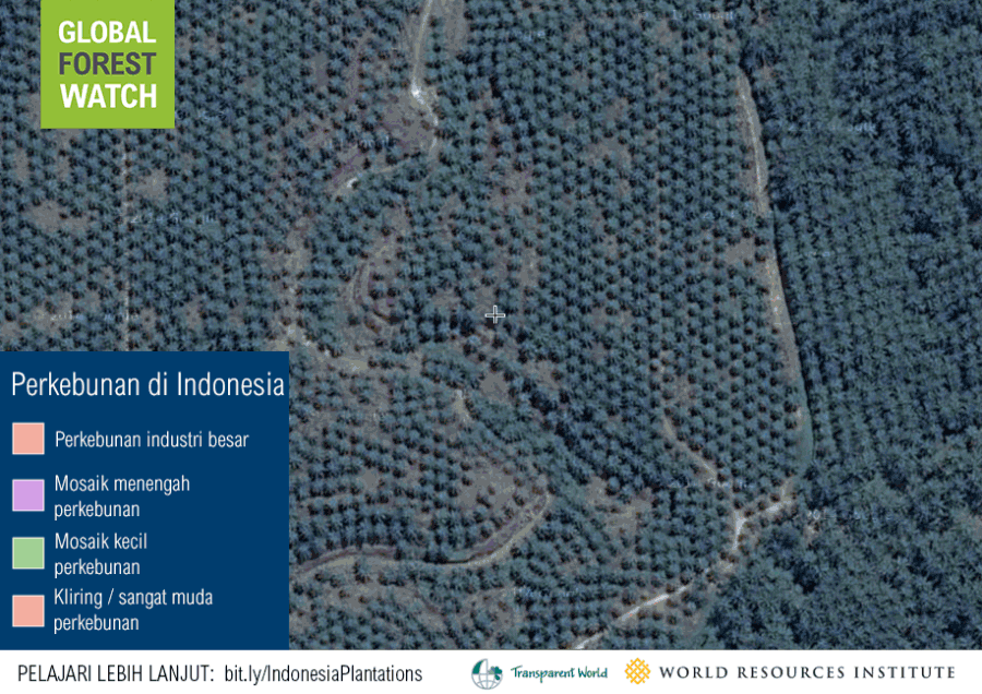 BAH_indo_plantations