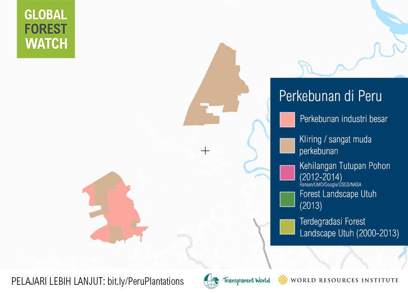 BAH_peru_plantation
