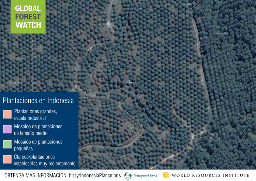 ESP_indo_plantations
