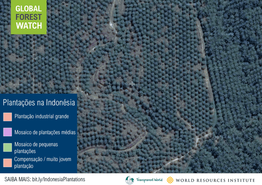 POR_indo_plantations