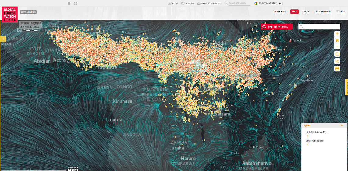 Global Forest Watch Fires
