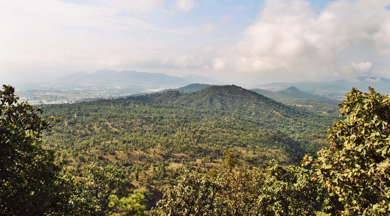 Bosque La Primavera_Mexico