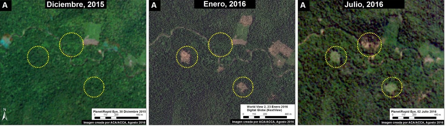 Imagen 40h. Datos: RapidEye/Planet, Digital Globe (Nextview)
