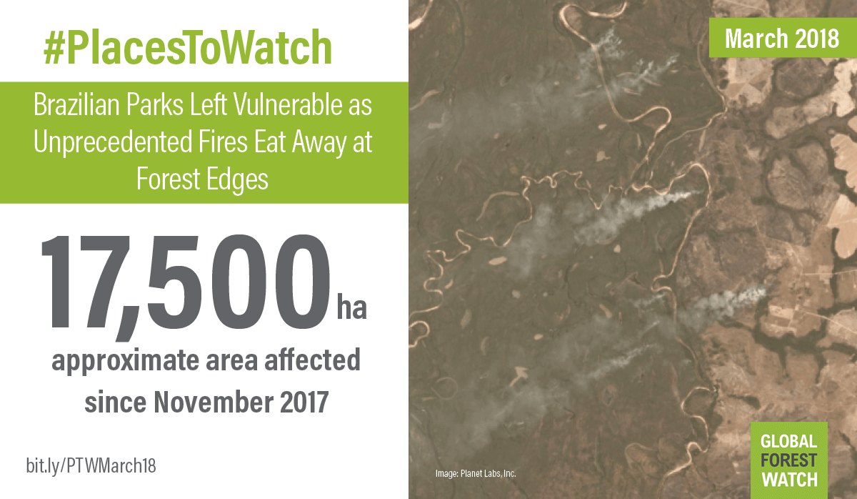 Brazil’s Brutal 2017 Fires Cause Massive Forest Degradation